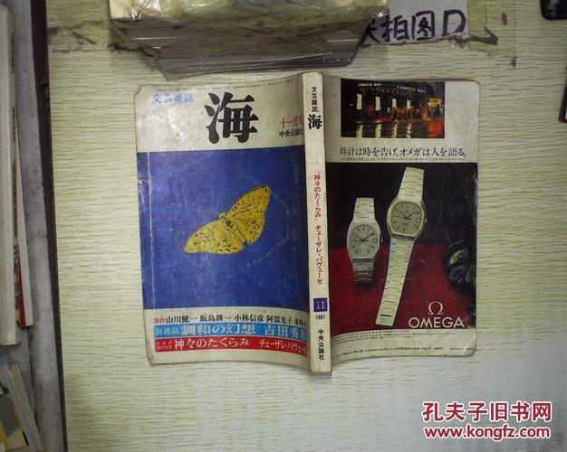 文艺杂志 海 1981 11