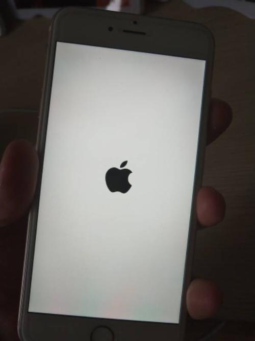 iphone6splus花屏后黑屏原因