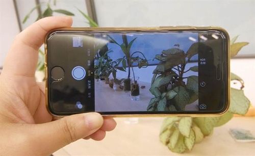 apple支援iphone6s拍摄技巧自拍党hi起来