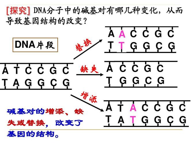 基因重组会使dna结构改变