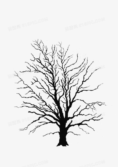 叶子黑白黑白人物树手绘黑白线条黑白花纹手绘黑白插画黑白插画树黑白