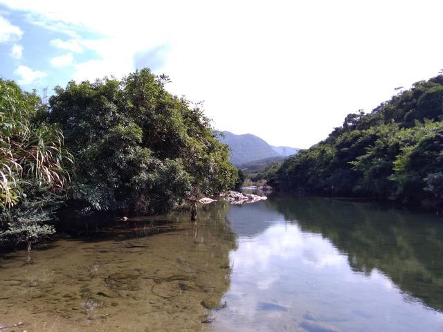惠州大南山脚下一条溪流边实拍,你们来过这样的地方吗?