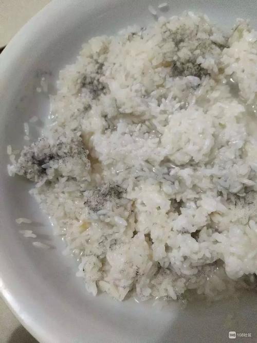 视食而动专题发霉的米饭还能吃吗