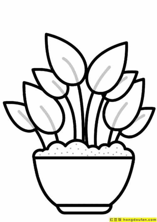7张有趣可爱的盆栽花朵植物儿童简笔画-红豆饭小学生简笔画大全