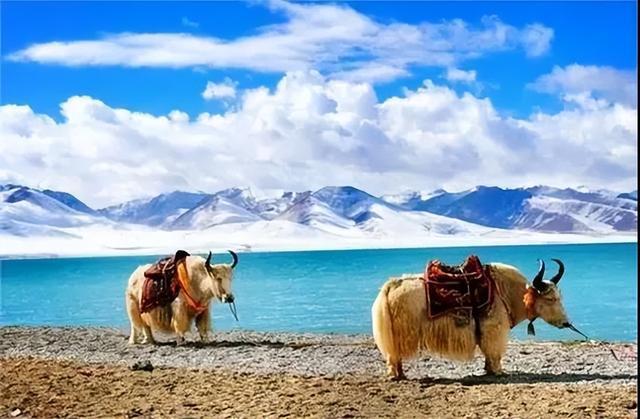 西藏十大旅游景点,西藏旅游景点大全(去过5个以上才算来过)