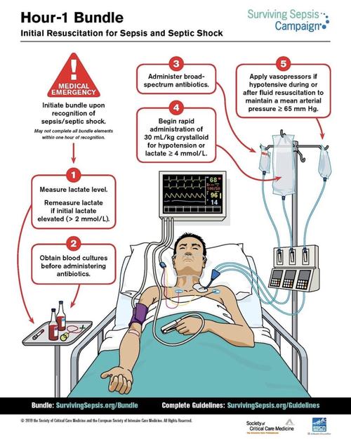 surviving sepsis 1-hour bundle - initial resuscita