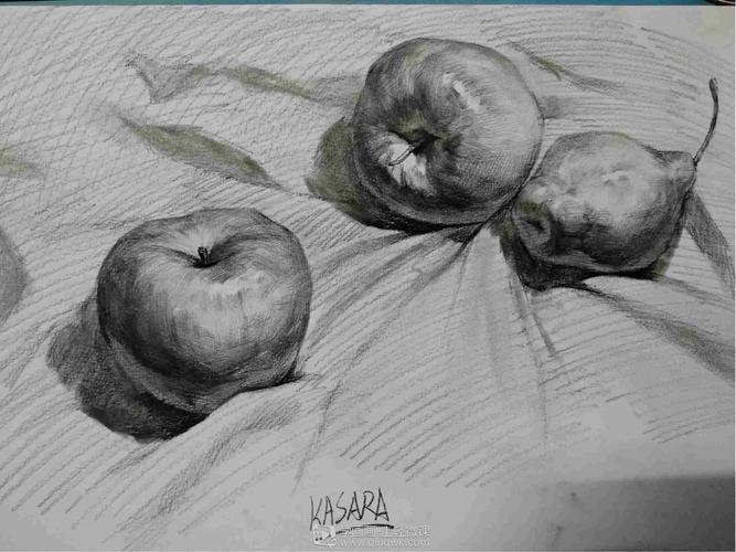 作业:从零开始学美术之水果素描静物的画法训练 - rh-12-127 kasara