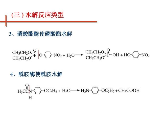 (三   水解反应类型 三 3,磷酸酯酶使磷酸酯水解 , o c h3ch2o p o