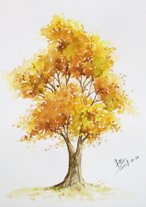 一组秋树手绘水彩大树
