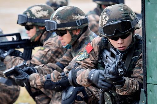 中国特战队单人图片