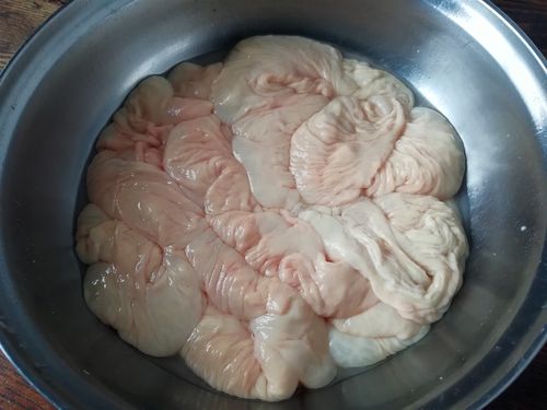 洗猪大肠方法