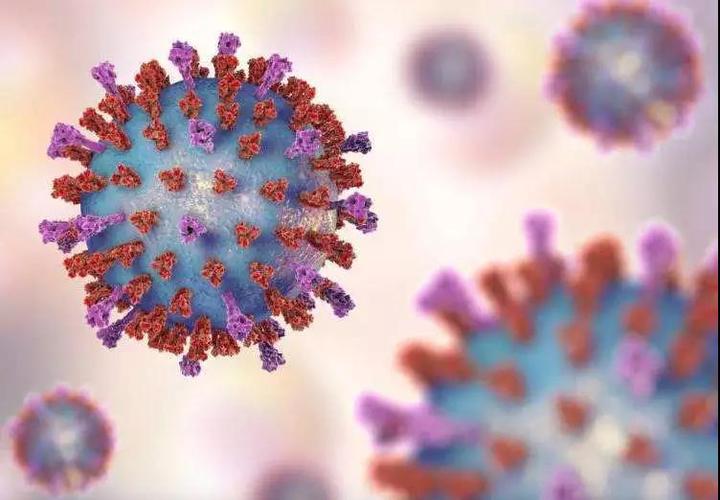 目前对于新型冠状病毒所致疾病没有特异治疗方法.但许多症状是可