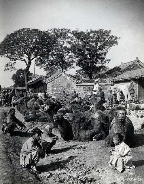 历史照片:1900年,被八国联军破城后的北京城
