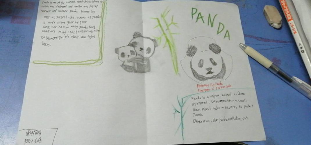 panda初三六班手抄报风采展 panda功夫熊猫3英语手抄报 英语手抄报