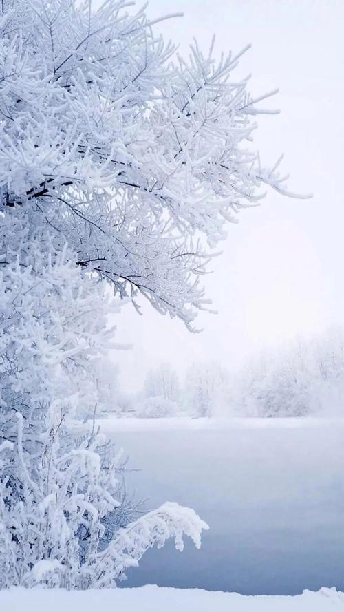 描写雪的诗词,意境优美,哪一种会让你欢喜