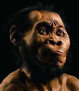 南非洞穴内发现新人种骨骼化石或改变人类物种认知