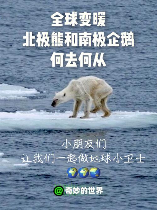 全球变暖,北极熊和南极企鹅举步维艰7715