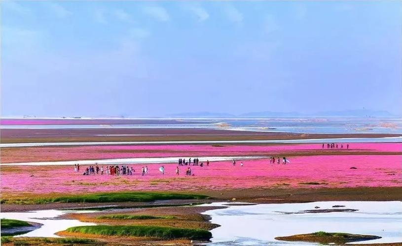 鄱阳湖国家湿地公园地处江西省鄱阳县境内,规划面积为365平方公里