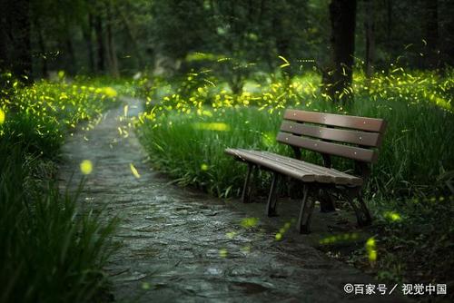 七月南京限定美景,夏夜中的萤火虫格外的美丽