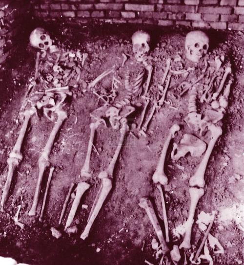 在发掘一片大约296平方米的地方时,竟埋着三排共179具劳工尸骨!