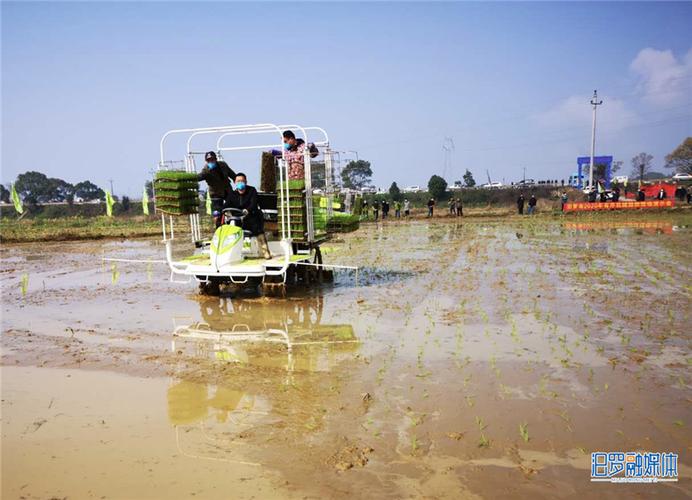 技术人员正在操作水稻有序抛秧机进行抛秧作业(李俭梅摄).jpg