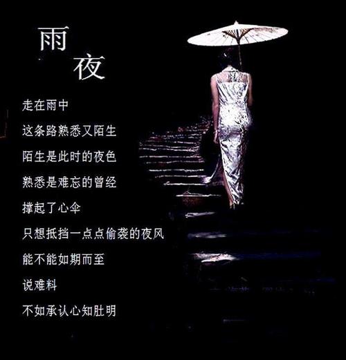 《雨夜相思》中国龙演唱