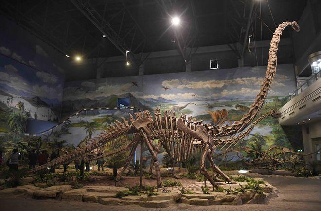 自贡恐龙博物馆展出的大型恐龙化石(12月7日摄).