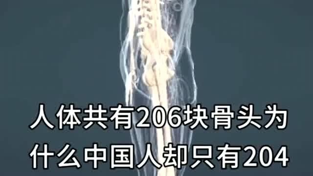 人体共有206块骨头,为什么中国人却只有204块,少的那两块去哪儿了?