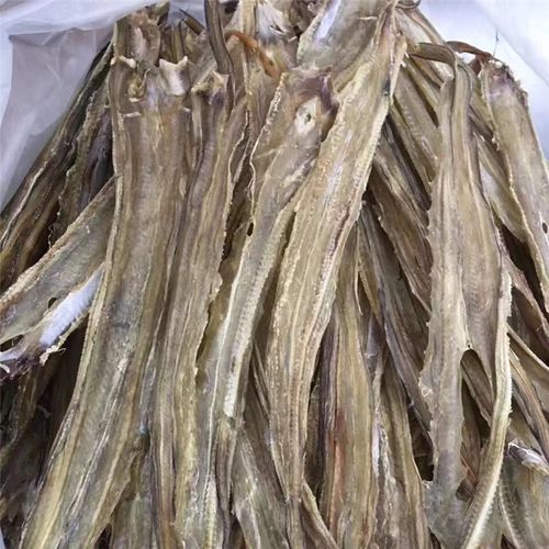 汕尾马宫海味 特产小鳗鲞野生 内水双杠麻鱼 鳗鱼鲞干货 麻鱼500g
