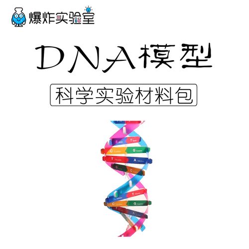 dna双螺旋结构模型儿童手工diy人体遗传基因小学生物科学实验玩具