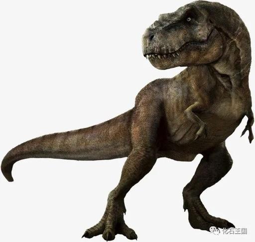 霸王龙:白垩纪最凶猛食肉恐龙-僧陵顺尔宁