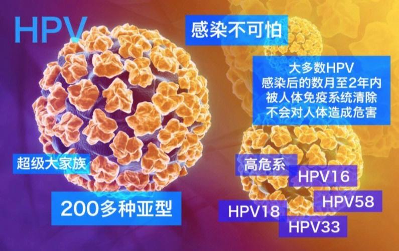 hpv病毒,其余20%左右的人可以用医学手段清除,少部分持续感染者可能会