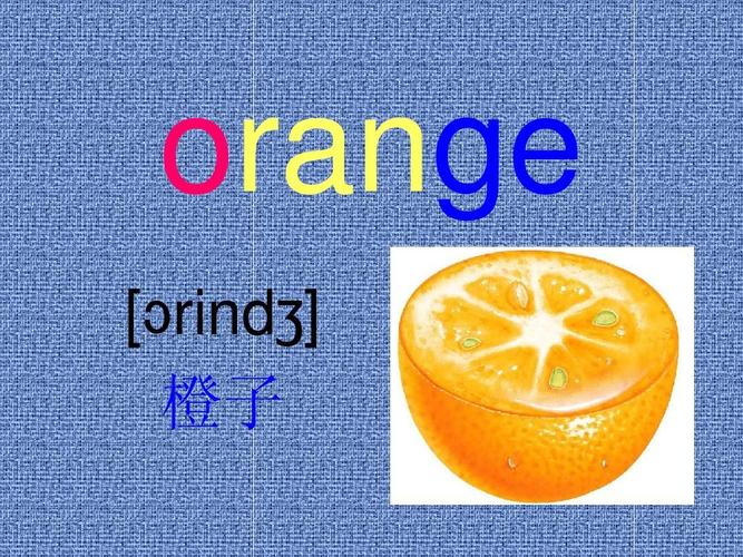 orange [ rind     rind   橙子