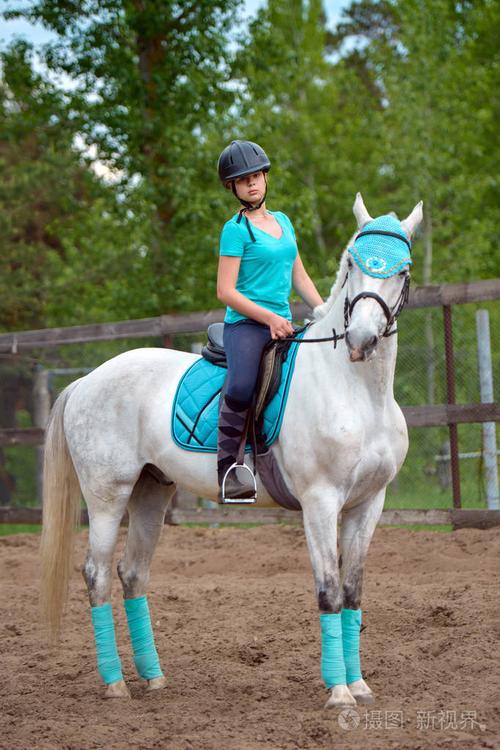 女车手训练马在骑马课程在夏季的一天