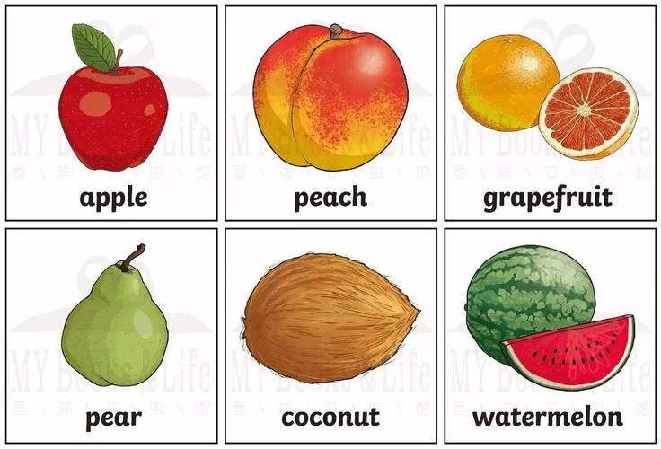 墨洋亲子英语丨水果对对碰 - fruit themed bingo