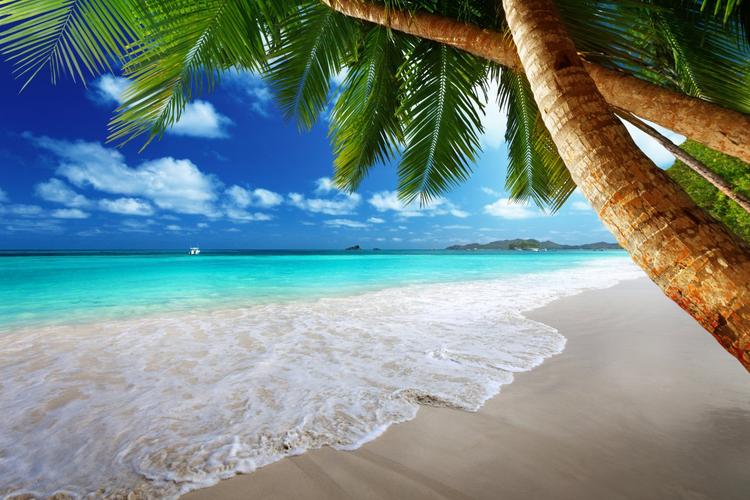 棕榈树,海岛,海岸,海滩,蓝色天空,自然风景,4k图片,4k高清风景图片