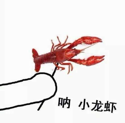 请吃小龙虾是什么梗
