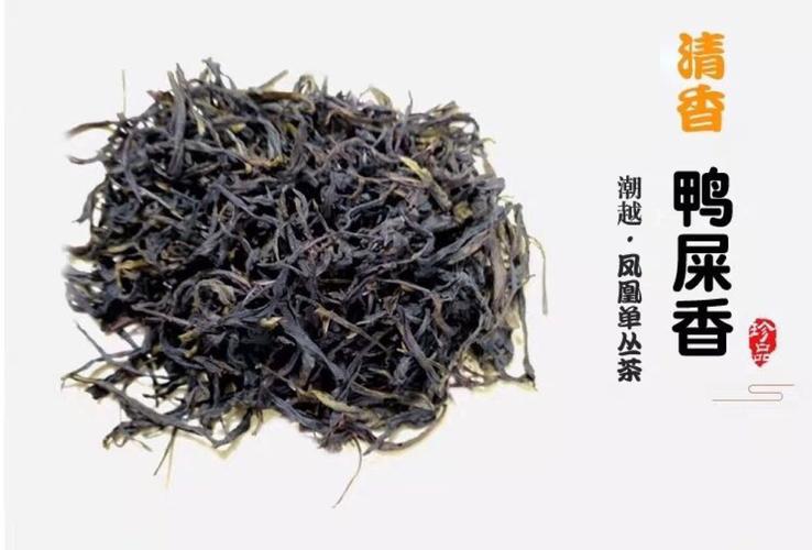 凤凰单枞茶多钱一斤