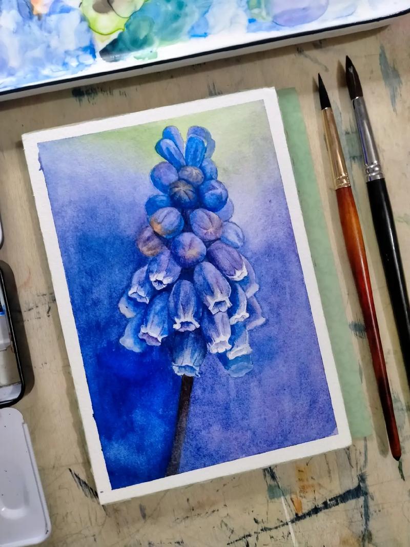 水彩画教程|蓝色的风信子.#创作灵感 #水彩 #教程 #花卉 - 抖音