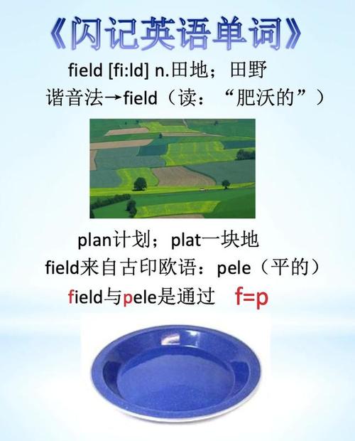 土壤soil陆地土地land,ground农田农场farm,field