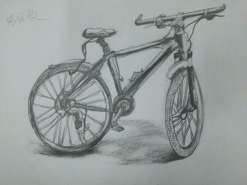 自行车两辆,可以画两辆,可以画一辆,也可以画局部,各位同学都很努力