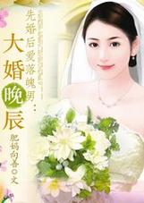 p>《先婚后爱落魄男:大婚晚辰》是肥妈向善写的网络小说连载于新浪