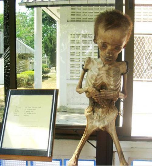 探秘泰国干尸博物馆