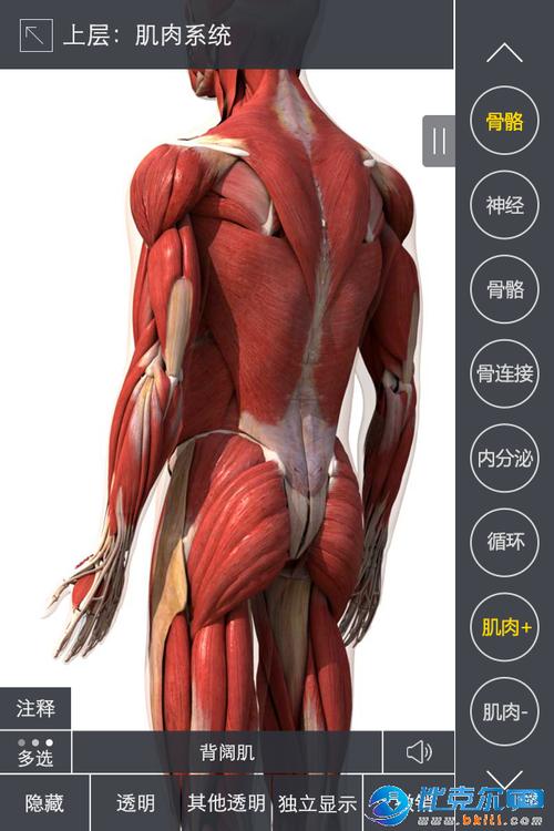 3dbody解剖app|3dbody解剖软件下载 v7.6.0 安卓版 - 比克尔下载