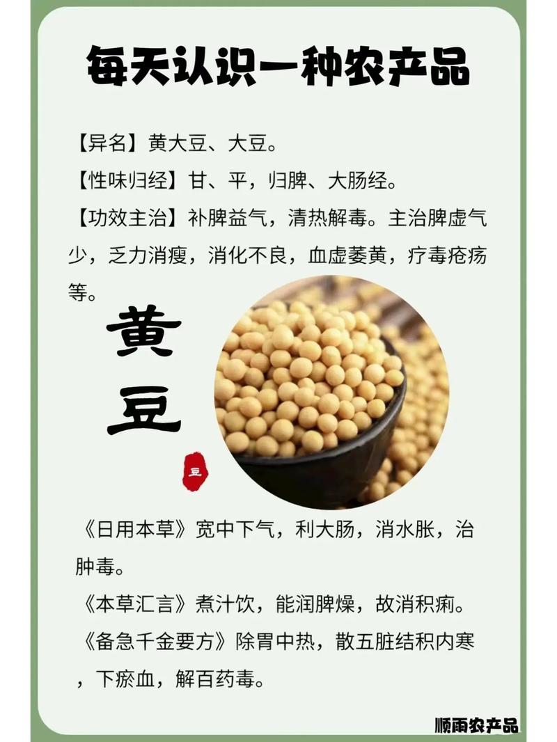 每天认识一种农产品——黄豆.黄豆:高营养的植物肉 营养分析表 - 抖音