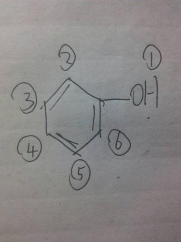 一个苯环有两个羟基叫什么