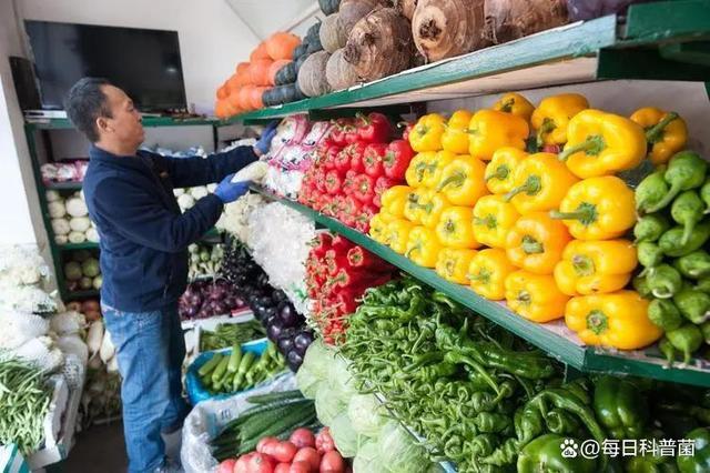 卖蔬菜的利润到底有多大?