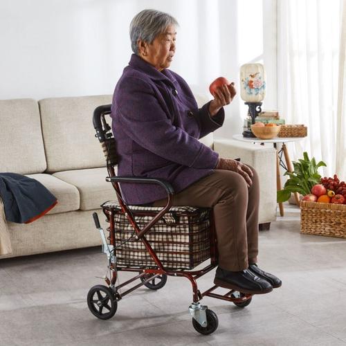老人手推车座椅可坐可推拉车四轮买菜助步折叠便携购物车