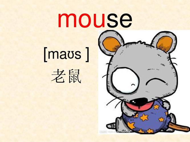 mouse [ma s   老鼠