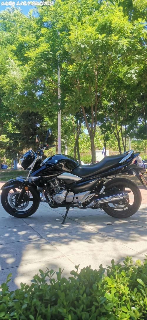 出售铃木骊驰250 - 摩托车论坛|摩托车联盟|东北摩托联盟-中国摩托车